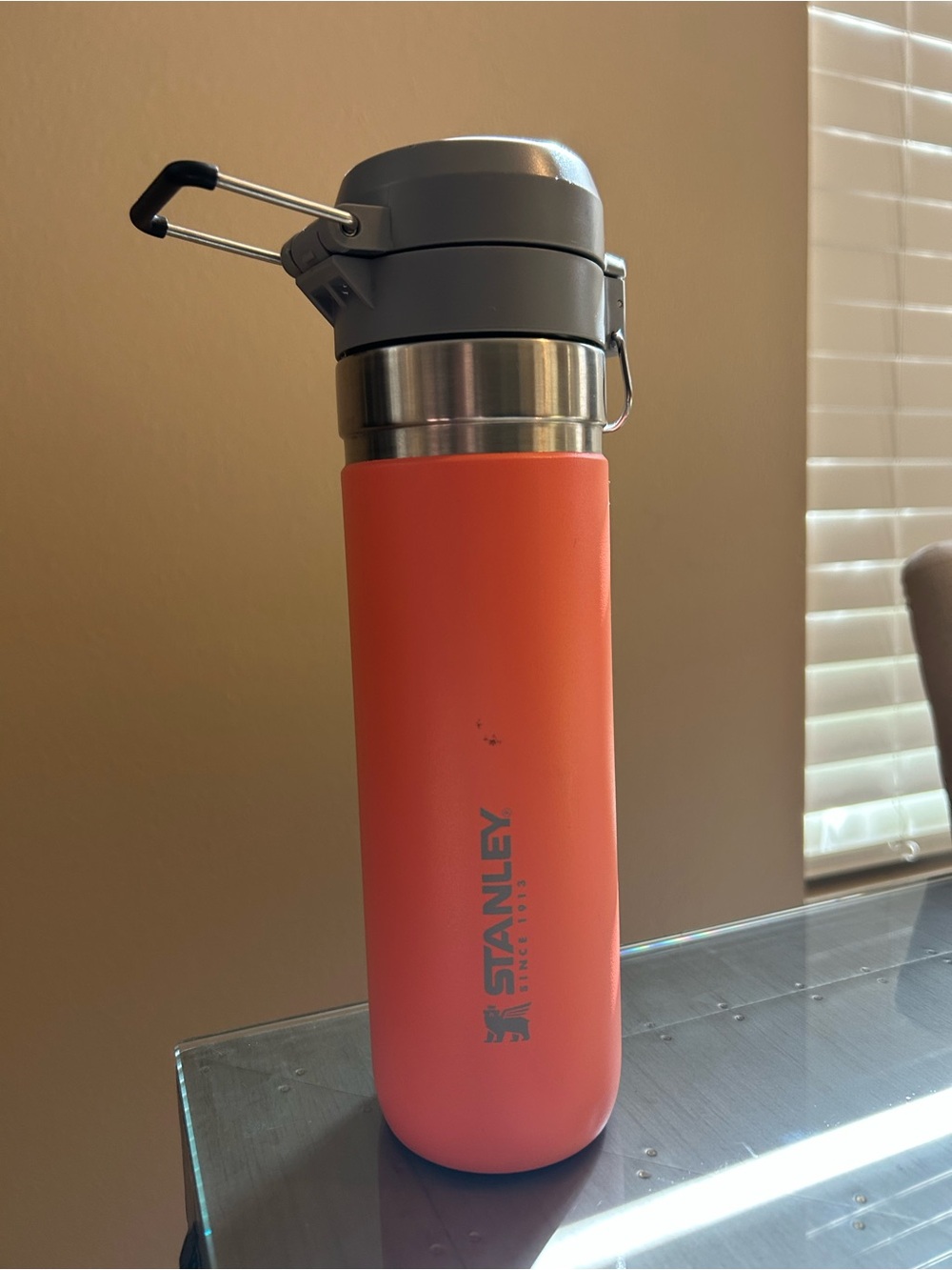 Stanley Drink Mug Silver Orange Peach Tall